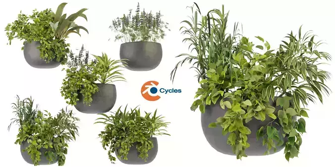 Collection plant vol 247 -blender model 