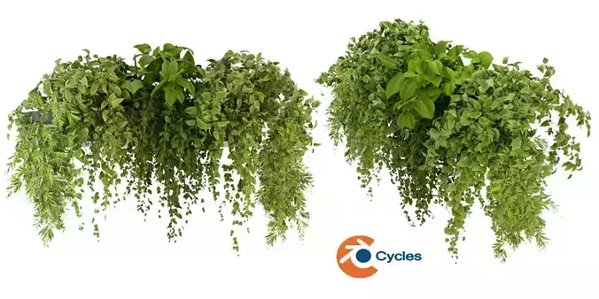 Collection plant vol 248 - blender model 