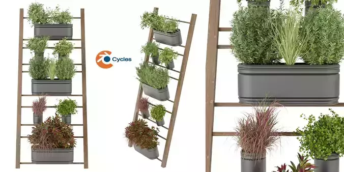 Collection plant vol 250 - blender model 