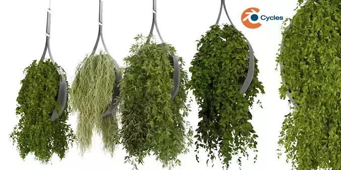 Collection plant vol 253 - blender model 