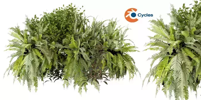 Collection plant vol 254 - blender model 3D model