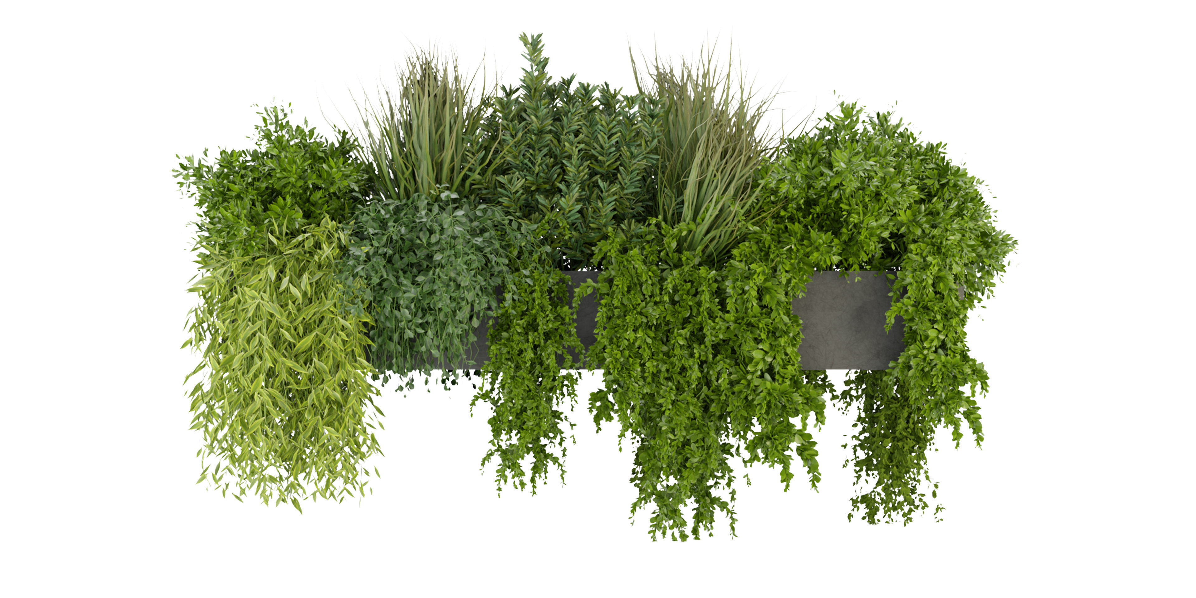 Collection plant vol 255 - blender model  3D model_1