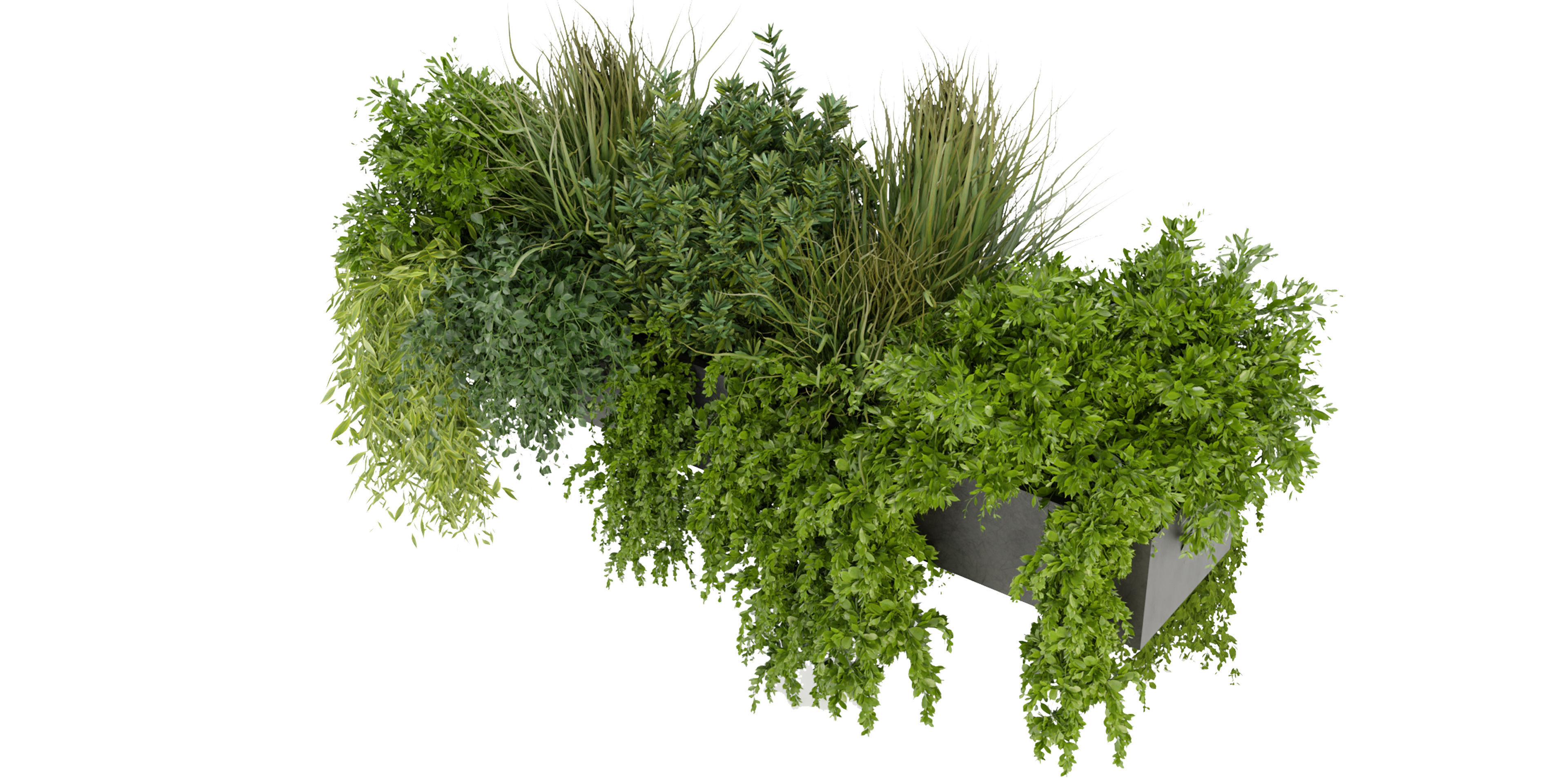 Collection plant vol 255 - blender model  3D model_3