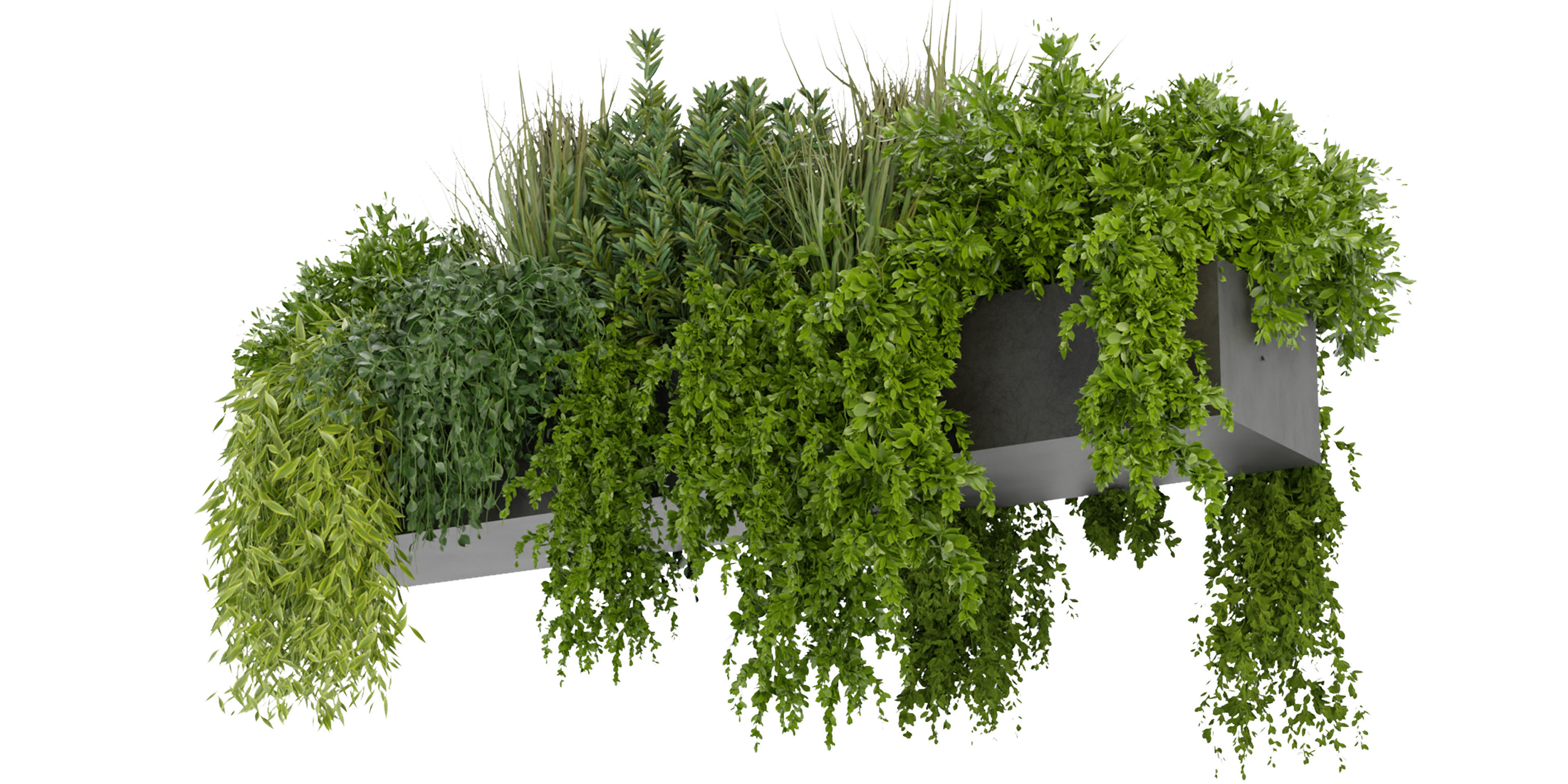 Collection plant vol 255 - blender model  3D model_4