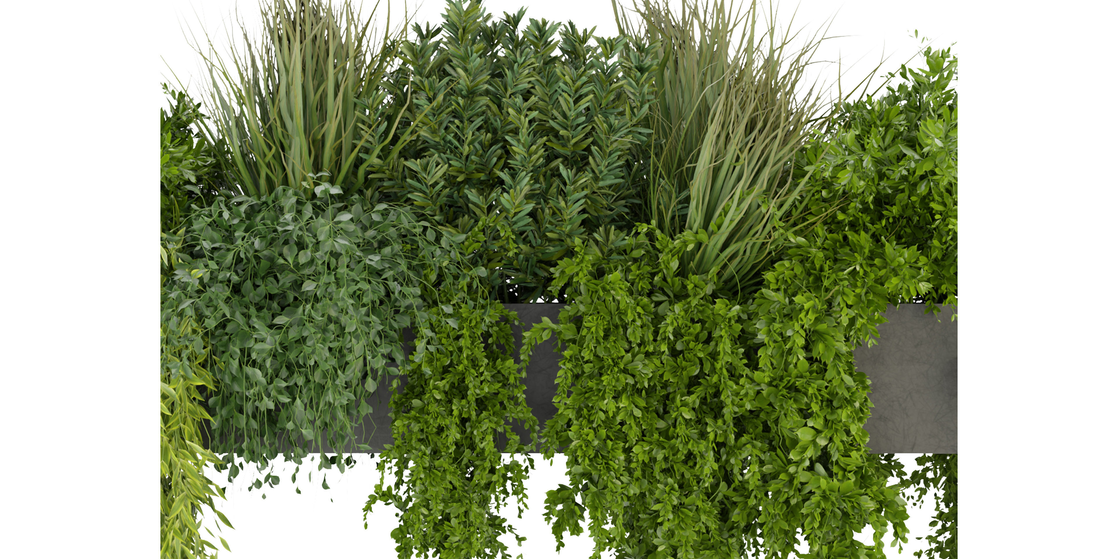 Collection plant vol 255 - blender model  3D model_2