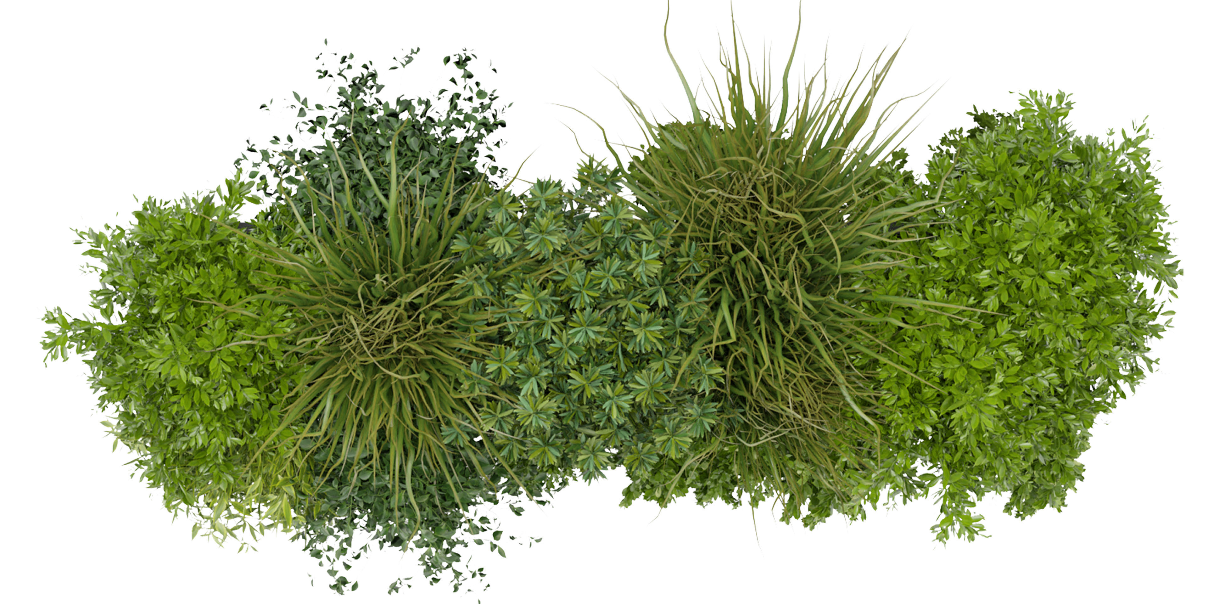 Collection plant vol 255 - blender model  3D model_5