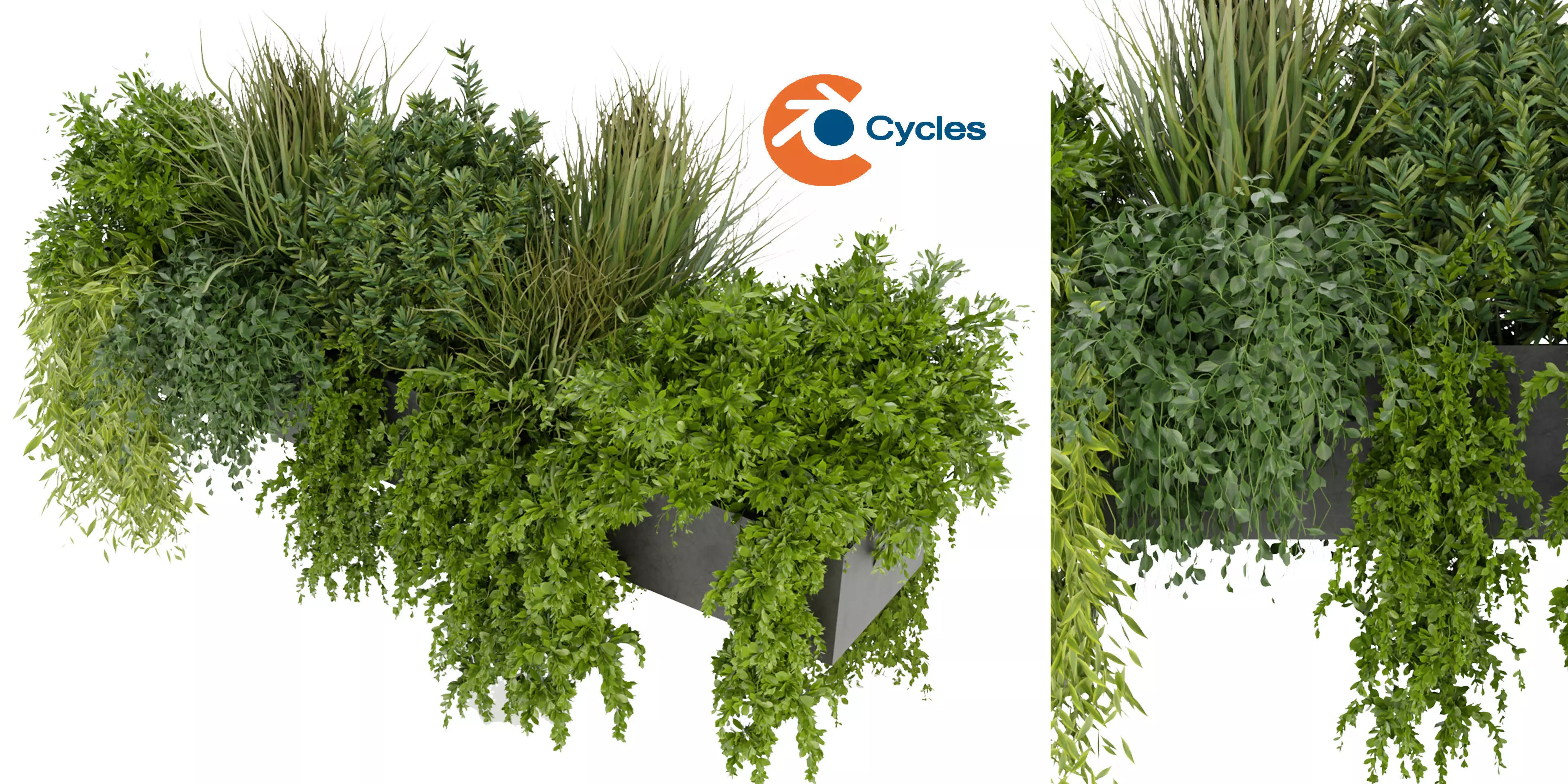 Collection plant vol 255 - blender model  3D model_0