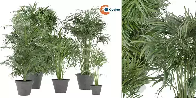 Collection plant vol 256 - blender model  3D model