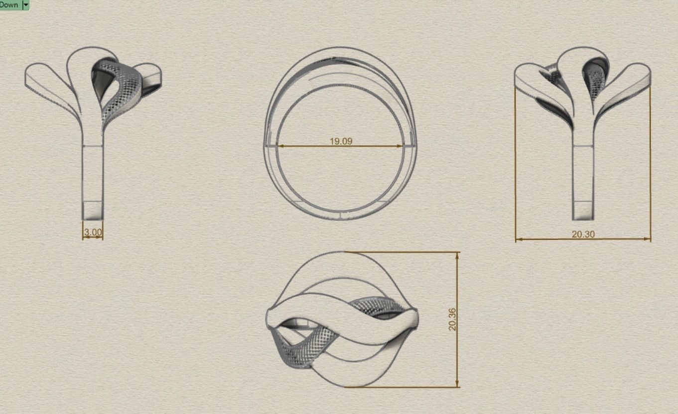 Tangled Ring 3D print model_2