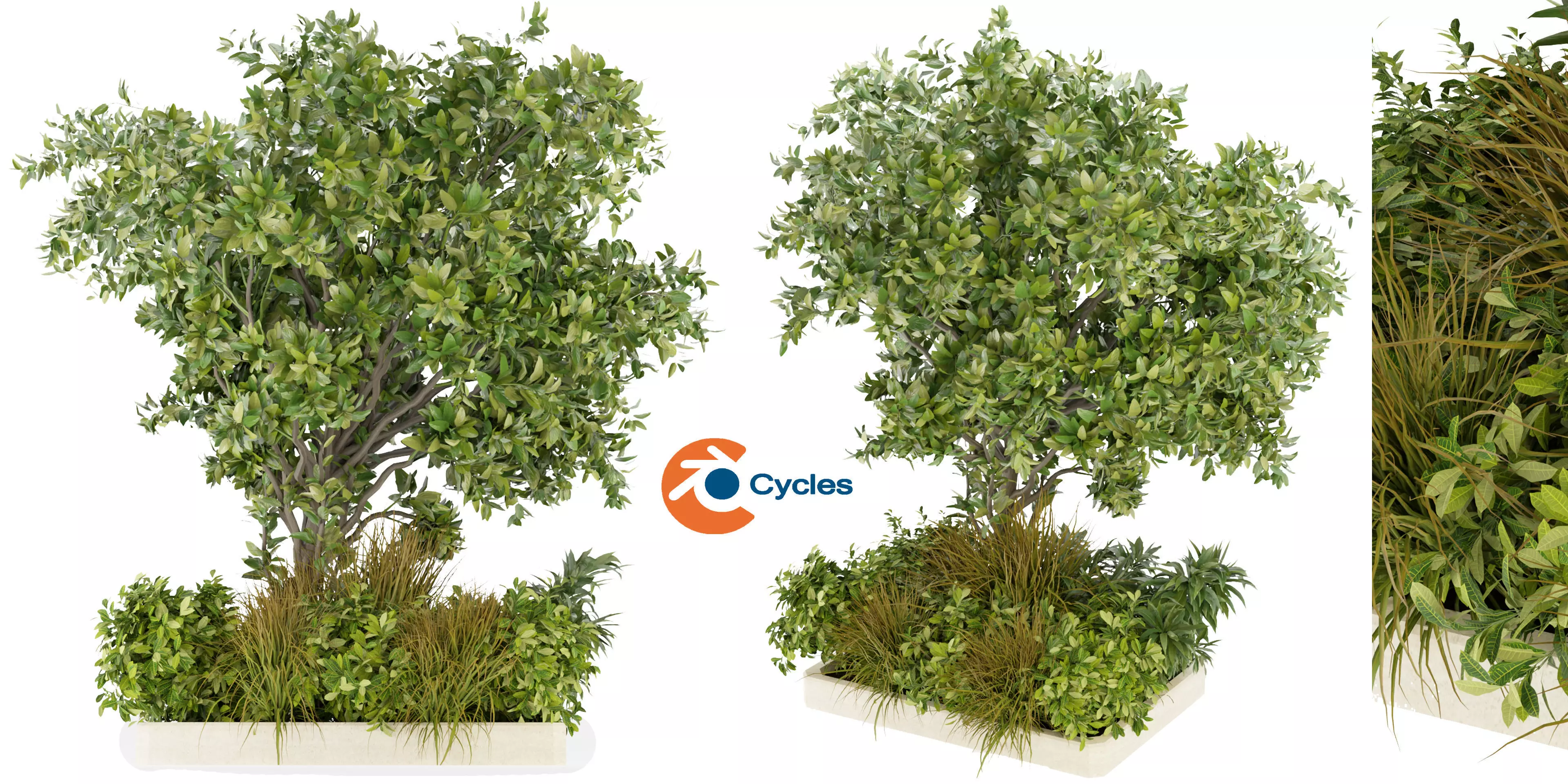 Collection plant vol 258 - blender model  3D model_0