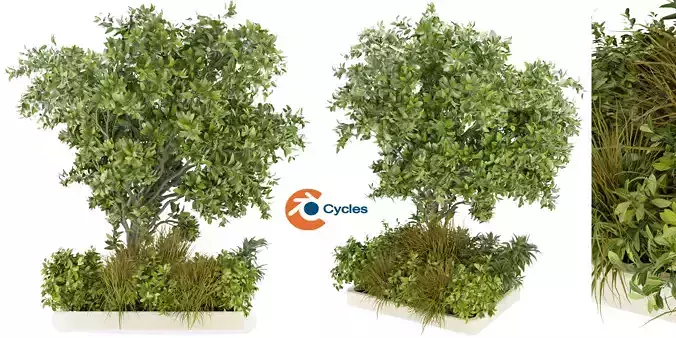 Collection plant vol 258 - blender model  3D model