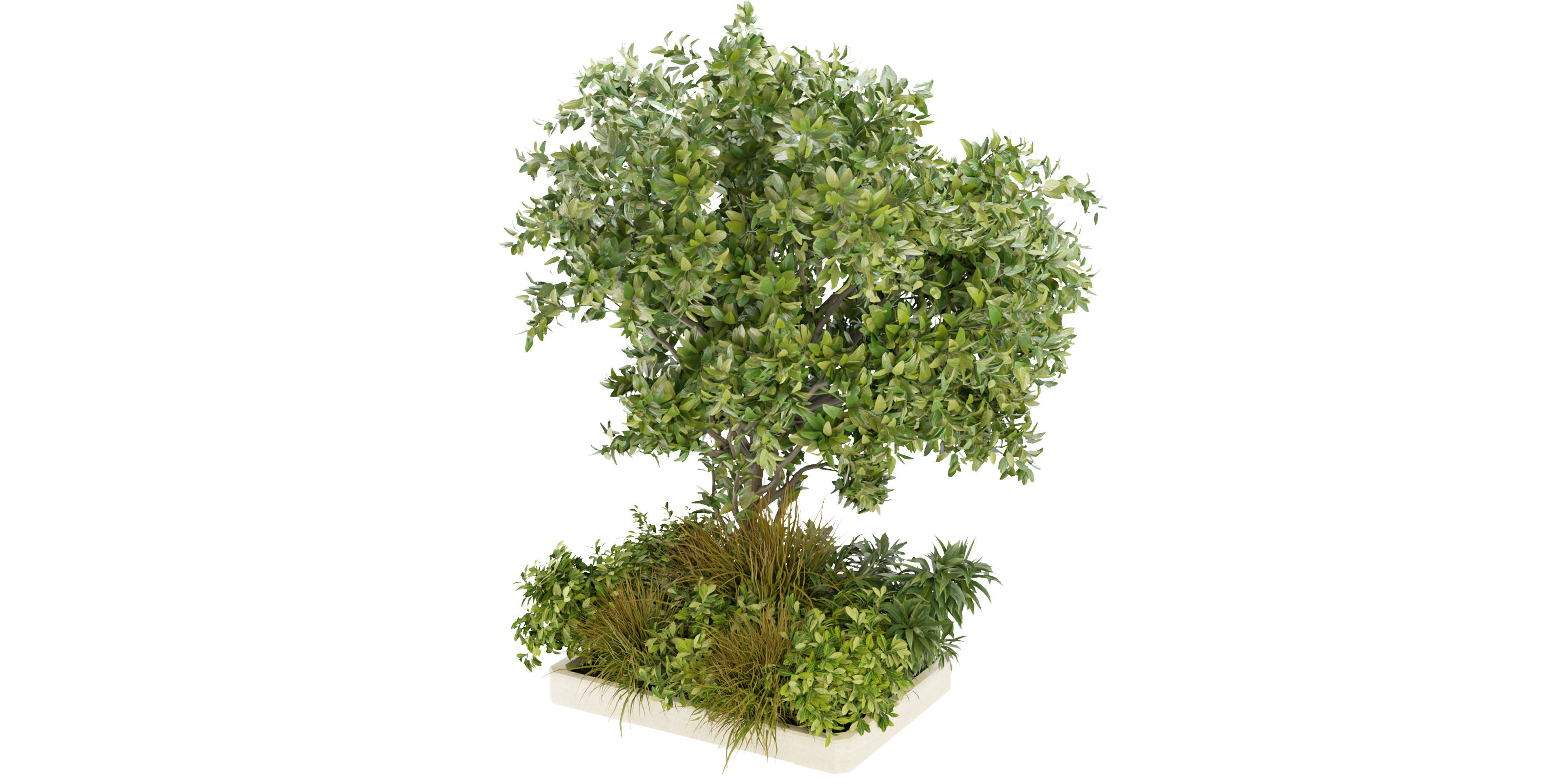 Collection plant vol 258 - blender model  3D model_2
