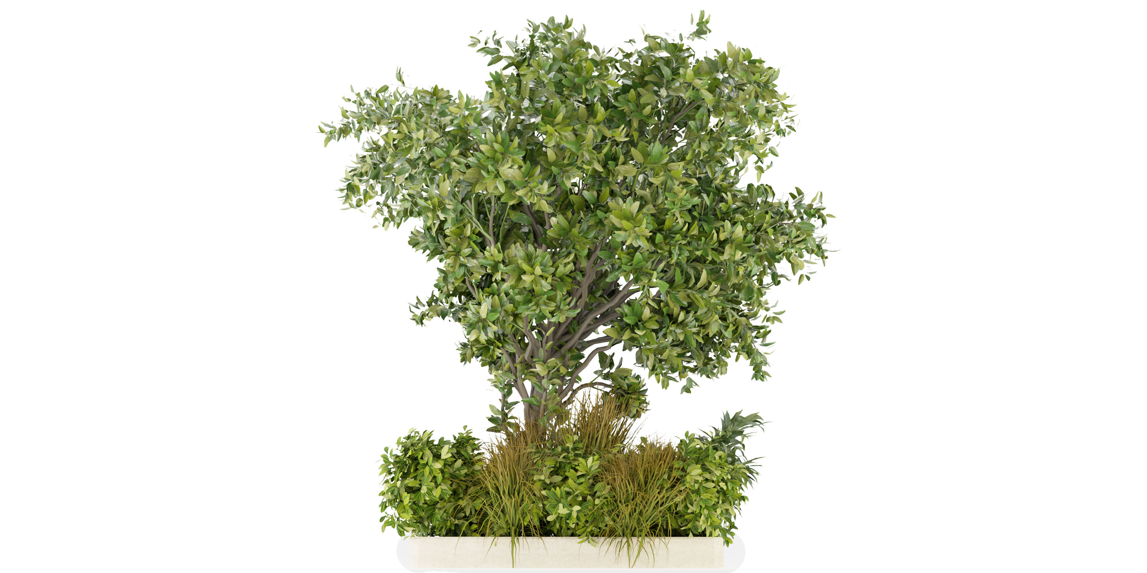 Collection plant vol 258 - blender model  3D model_1