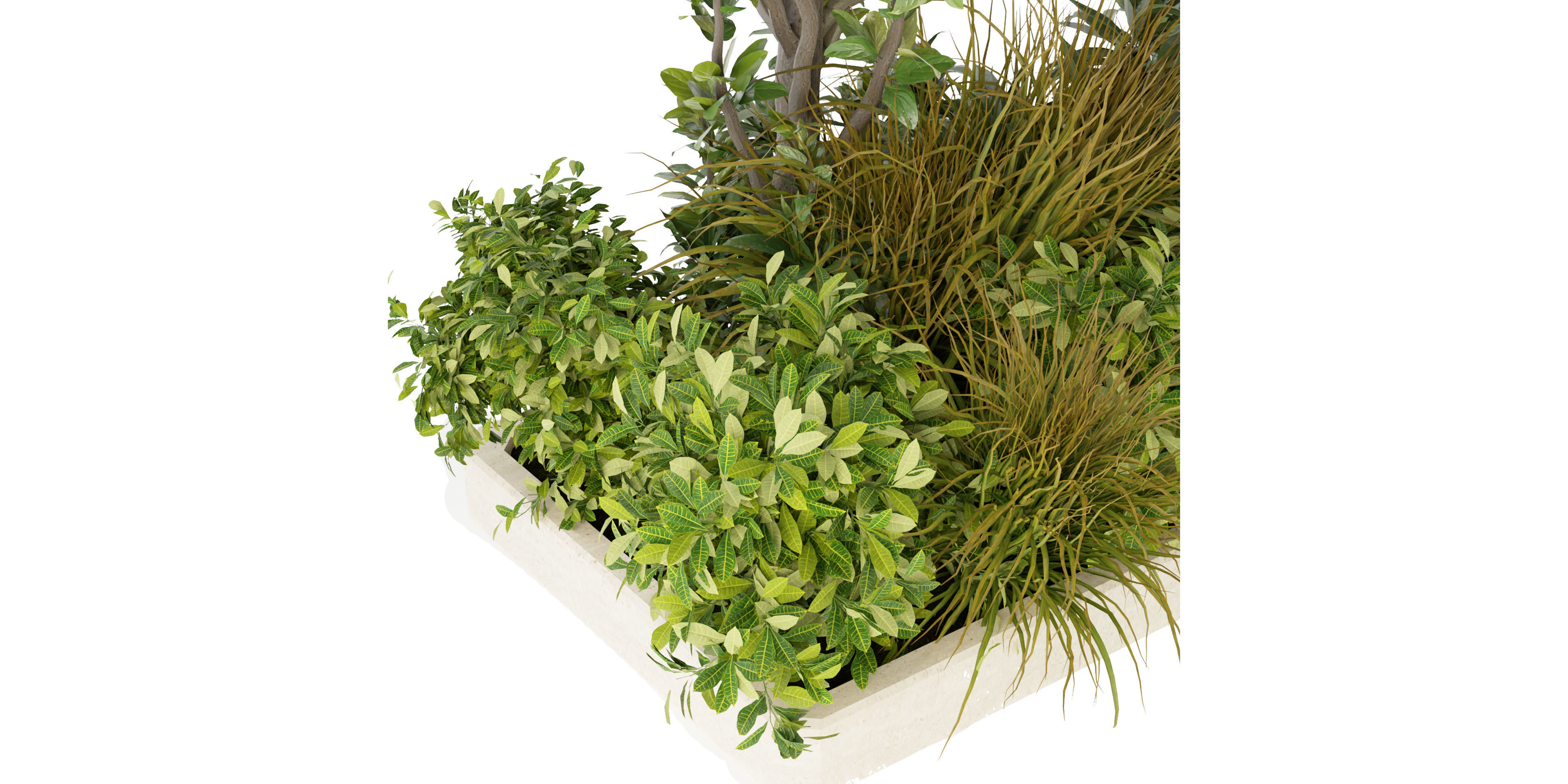Collection plant vol 258 - blender model  3D model_4