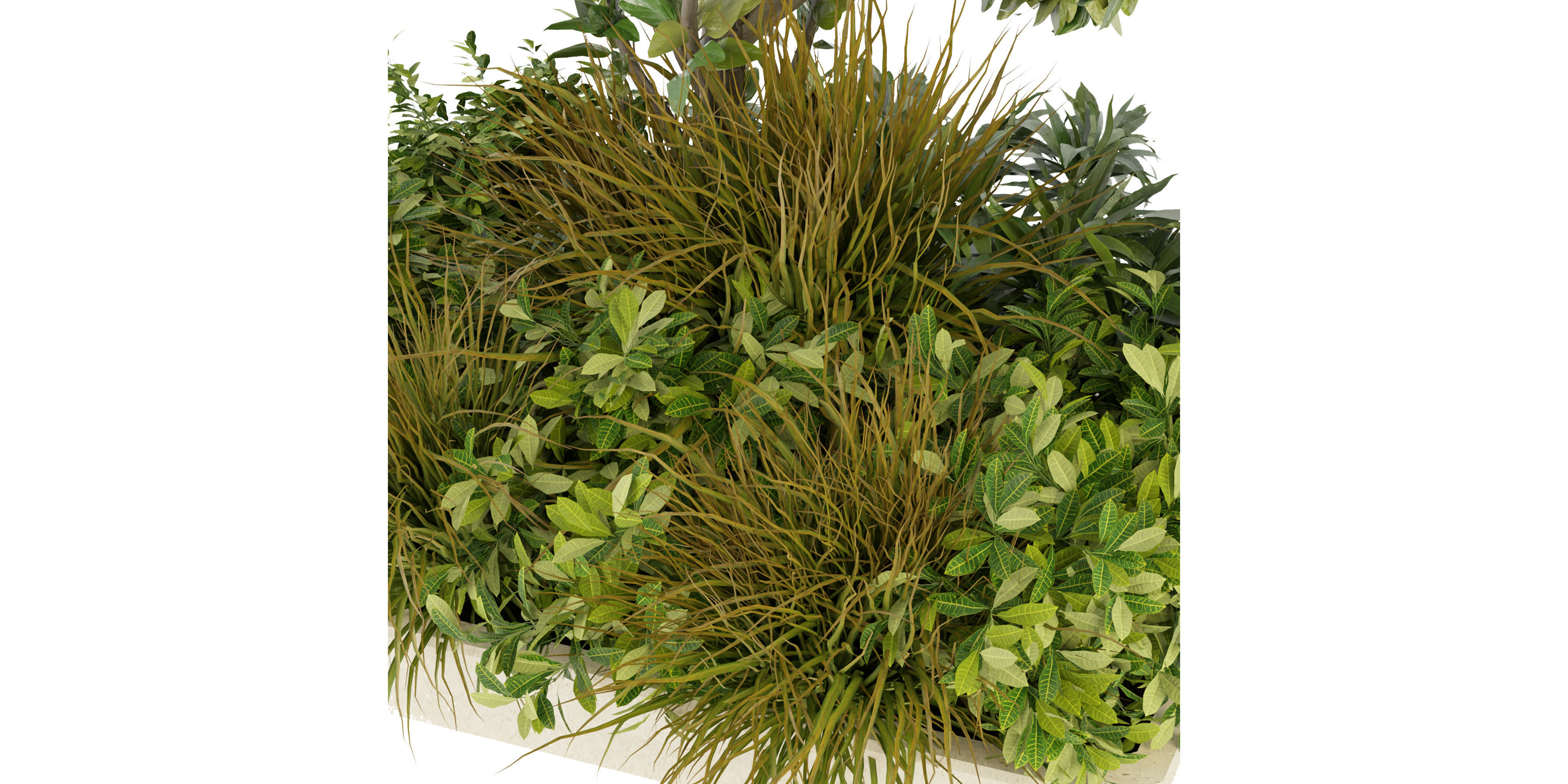 Collection plant vol 258 - blender model  3D model_3