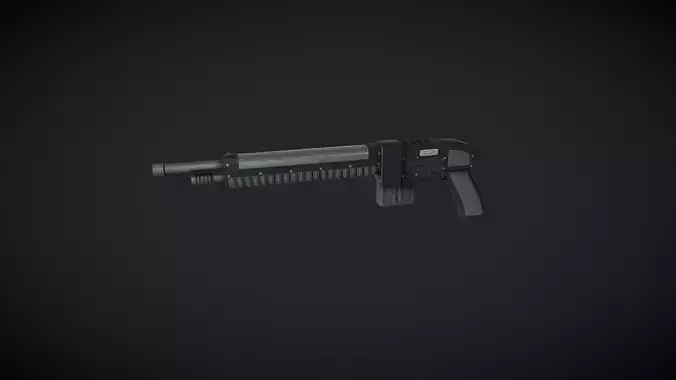 Shotgun with magazine