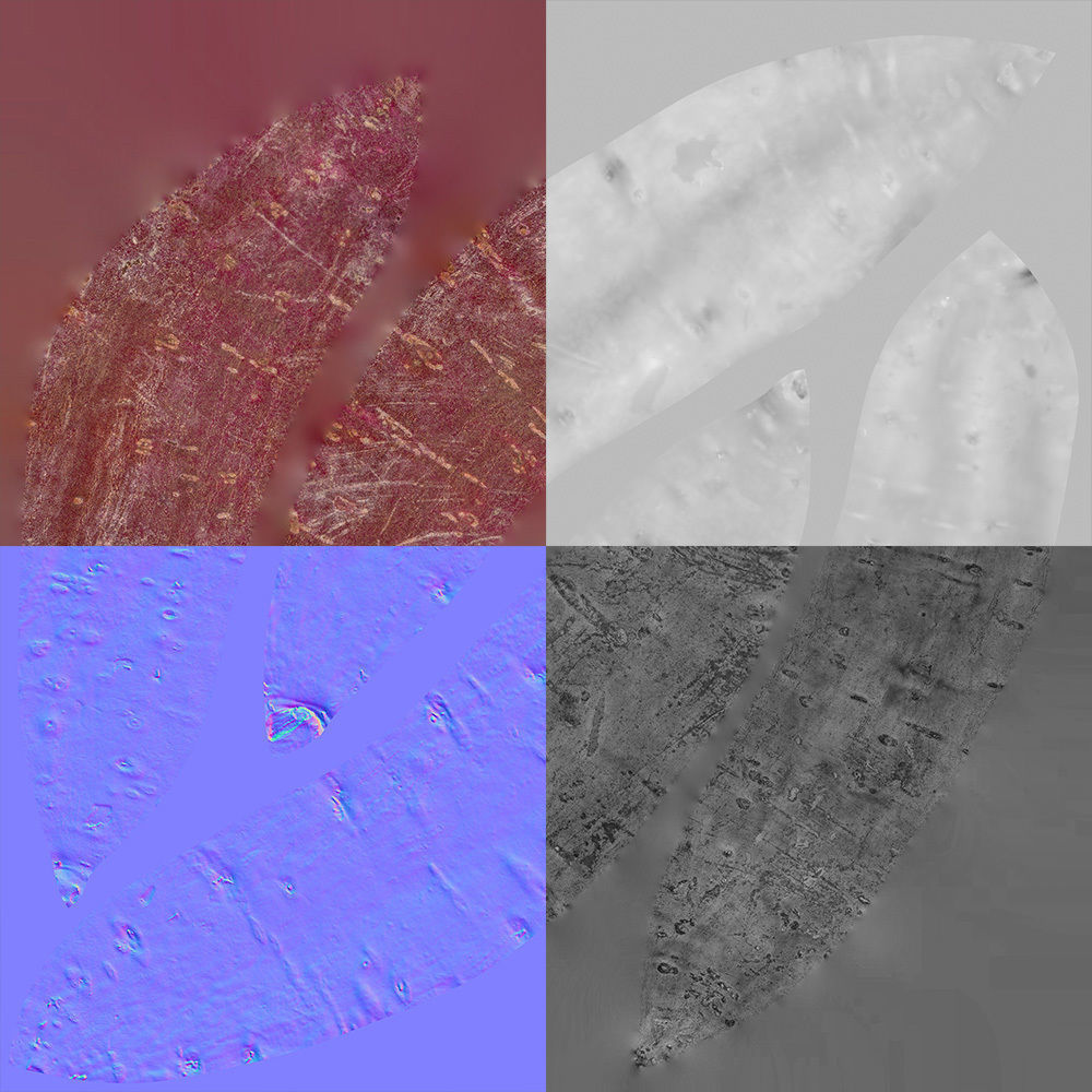 Potato 3D model_8