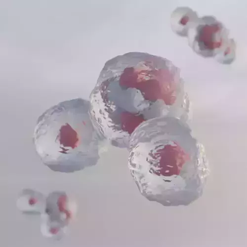 H2O Water Molecule Free 3D model