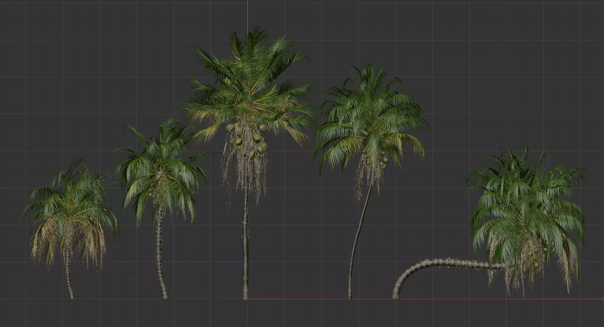 5 High quality Coconut Tree Pack 3D model_0