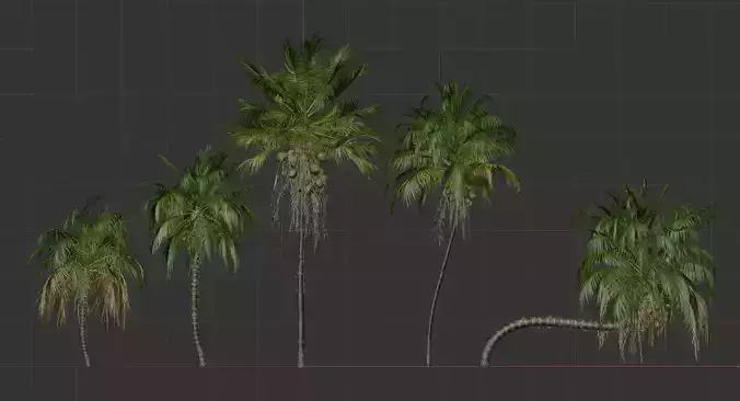 5 High quality Coconut Tree Pack 3D model