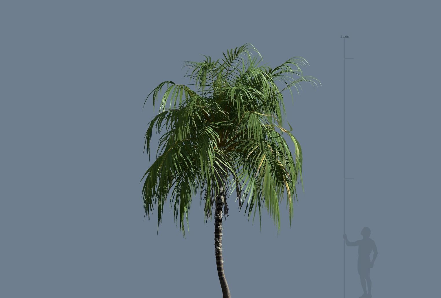 5 High quality Coconut Tree Pack 3D model_5