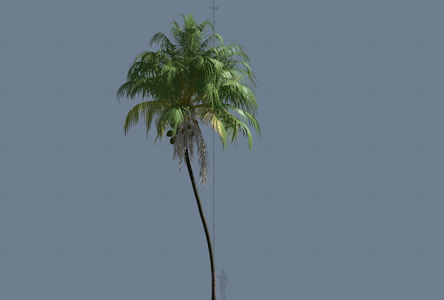 5 High quality Coconut Tree Pack 3D model_2