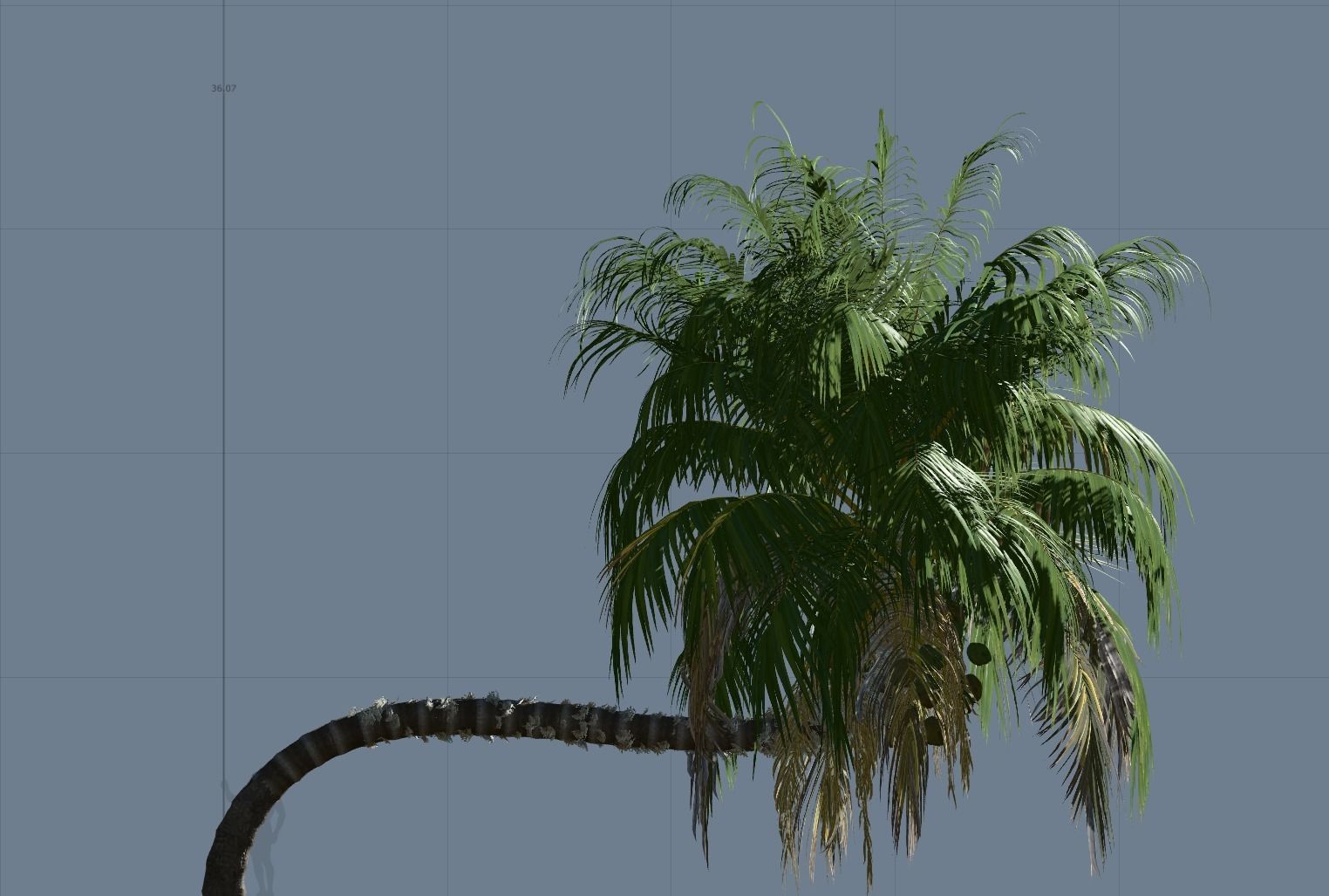 5 High quality Coconut Tree Pack 3D model_3