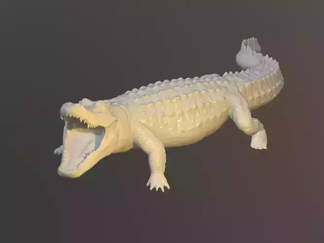 Crocodile entire body 3D Model