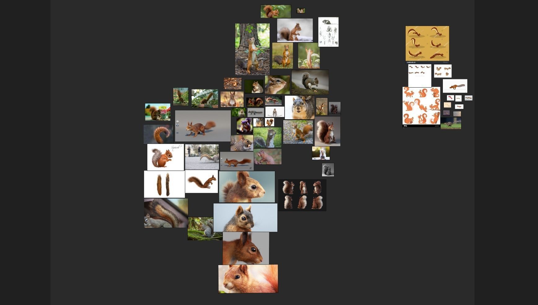 Squirrel Realistic Blender 3D model_12