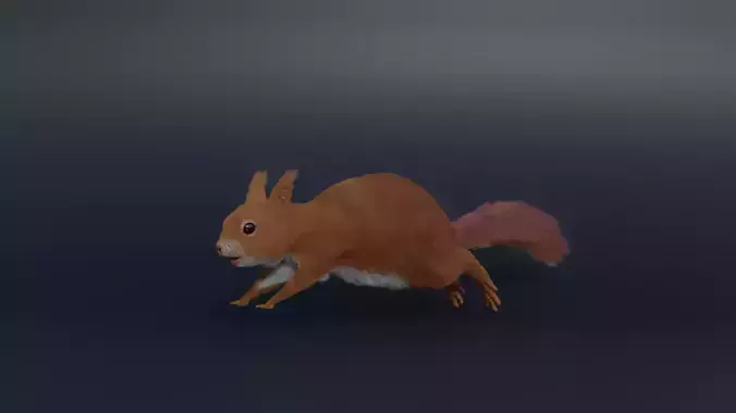 Squirrel Realistic Blender 3D model