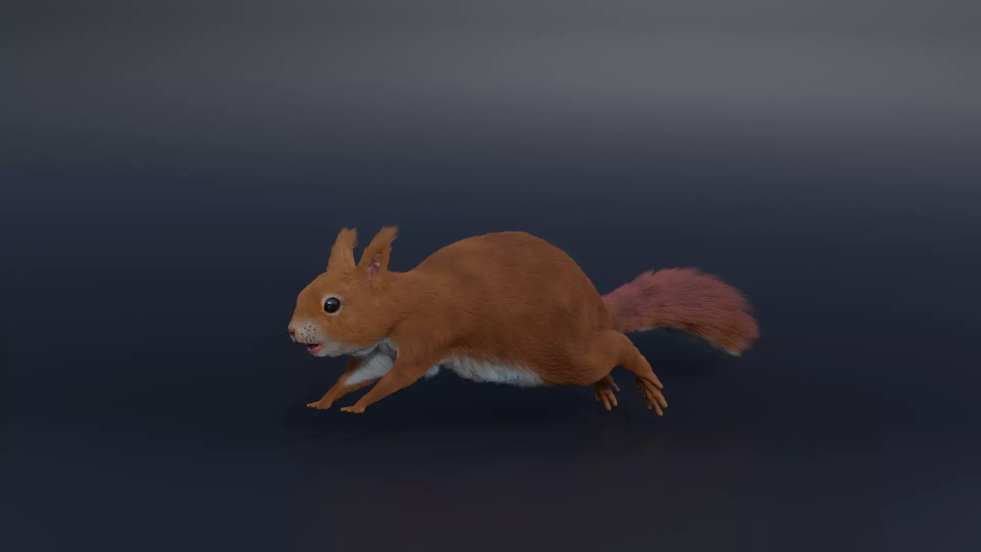Squirrel Realistic Blender 3D model_0
