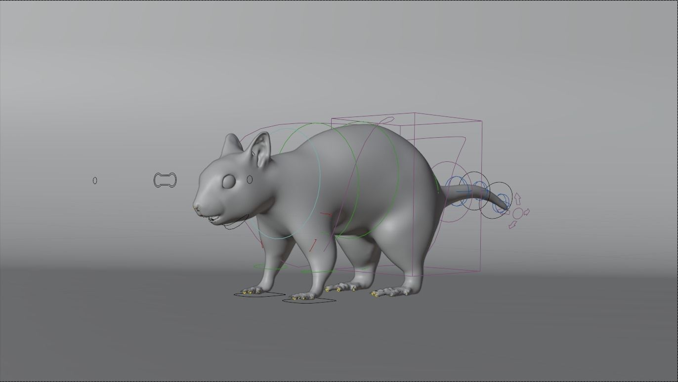 Squirrel Realistic Blender 3D model_13