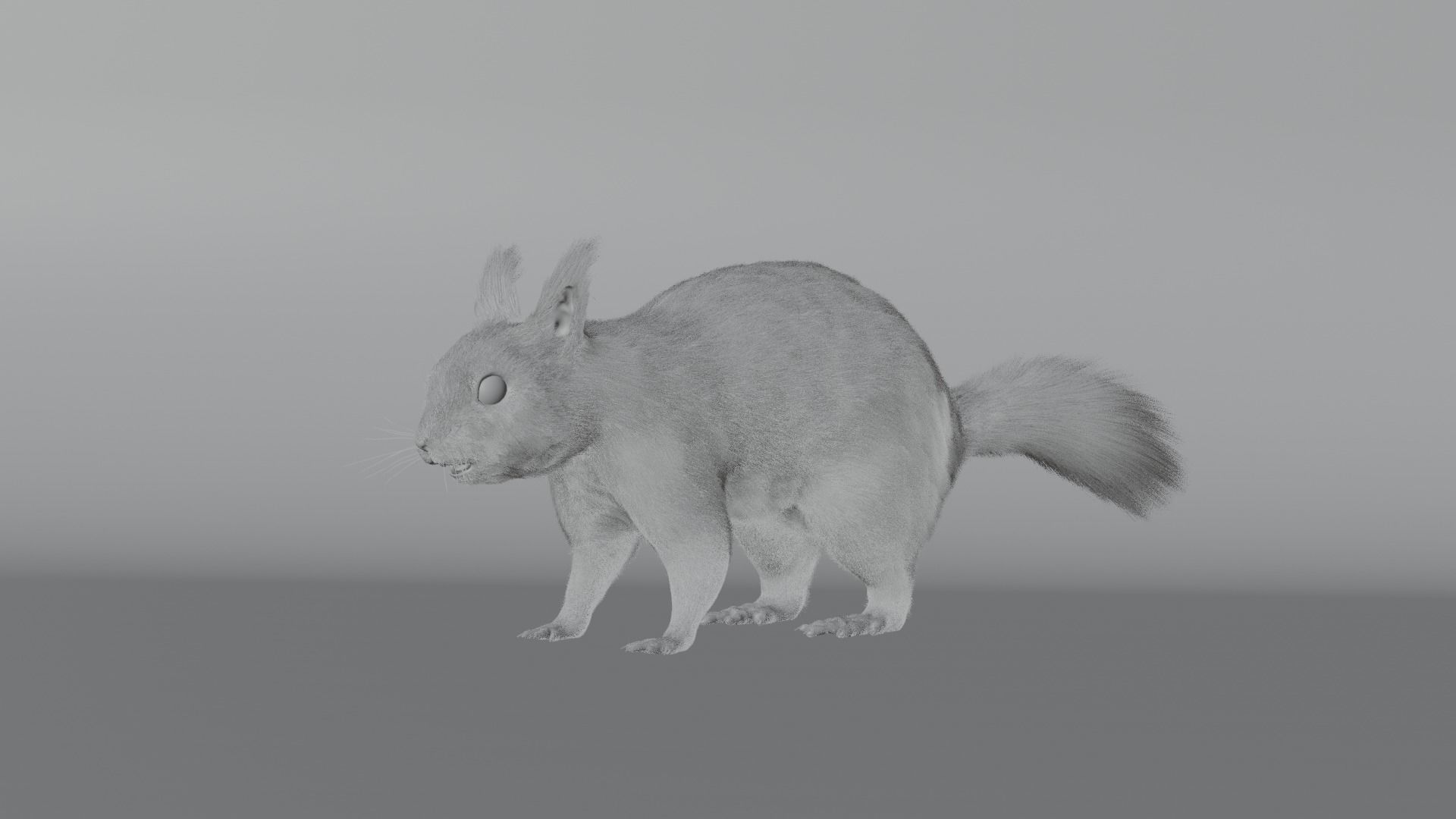 Squirrel Realistic Blender 3D model_15