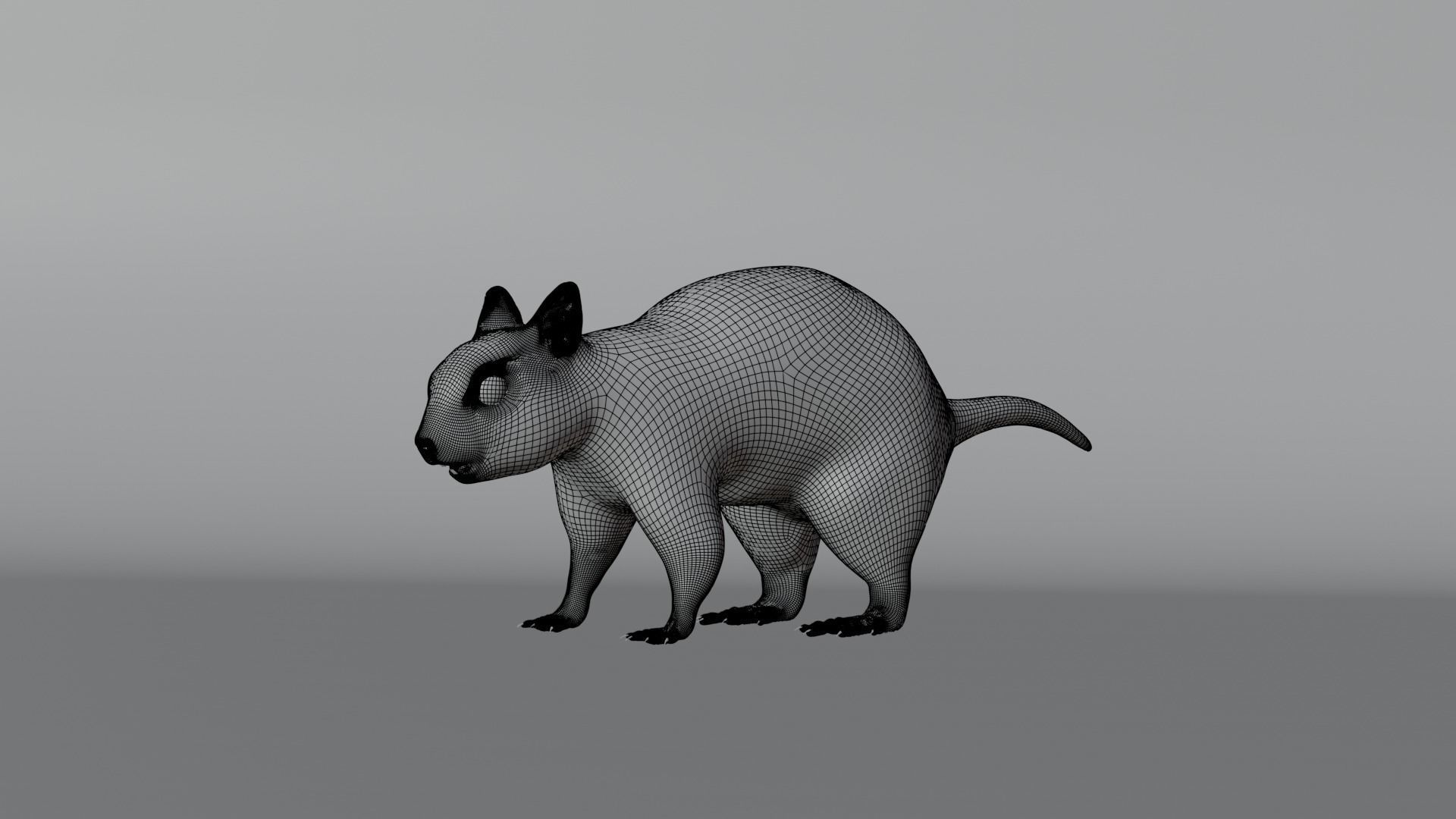 Squirrel Realistic Blender 3D model_14