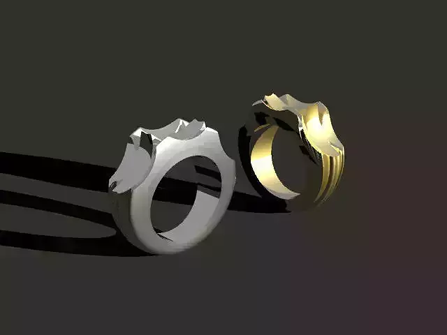 jewelry ring