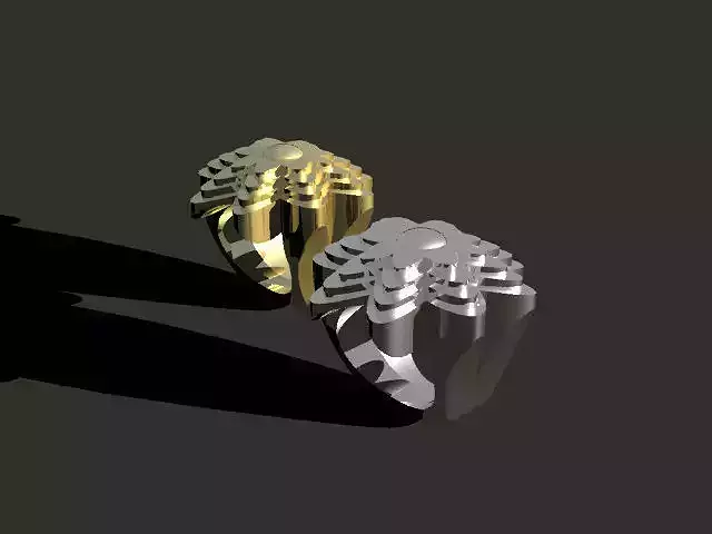 jewelry ring