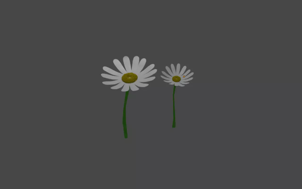 Chamomile 3D model_0