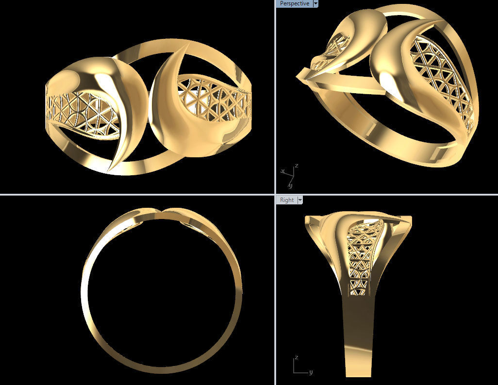 RI0017 3D print model_1