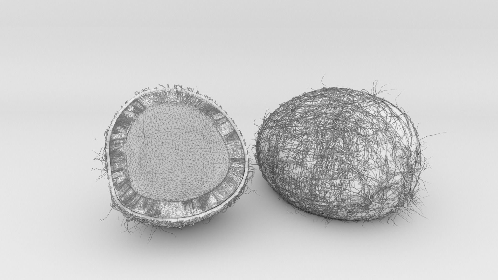  coconut model  coconut pulp 3D model_3