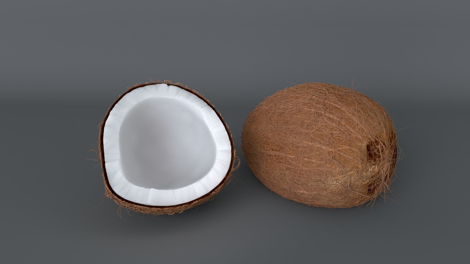  coconut model  coconut pulp 3D model_2