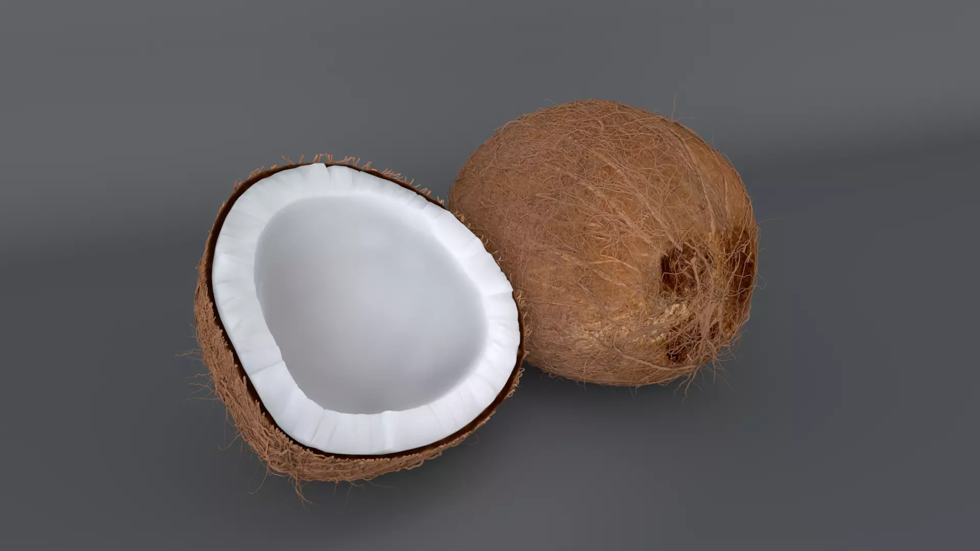  coconut model  coconut pulp 3D model_0