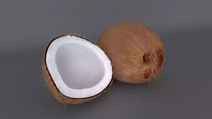  coconut model  coconut pulp 3D model
