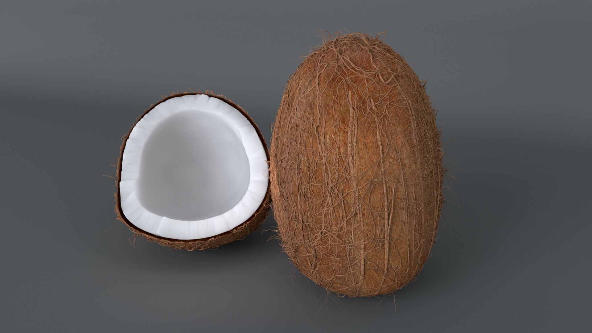  coconut model  coconut pulp 3D model_1