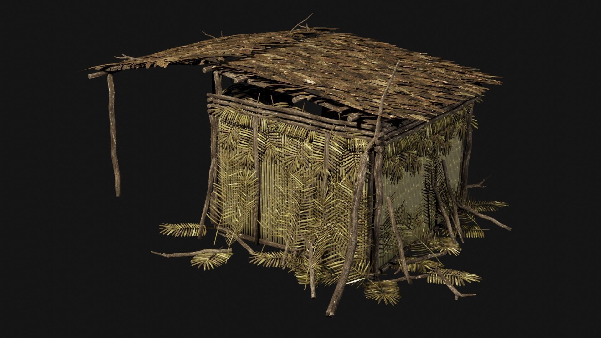 JUNGLE SWAMP GENERIC HUT SHELTER COTTAGE AAA COLLECTION Low-poly 3D model_14