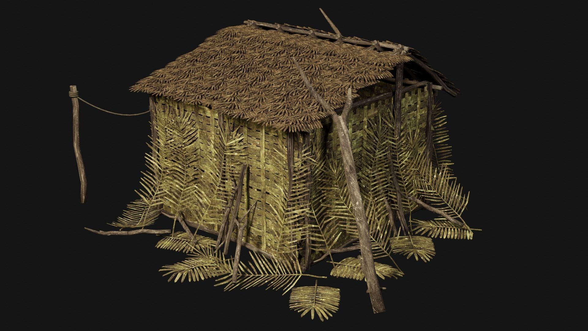 JUNGLE SWAMP GENERIC HUT SHELTER COTTAGE AAA COLLECTION Low-poly 3D model_27