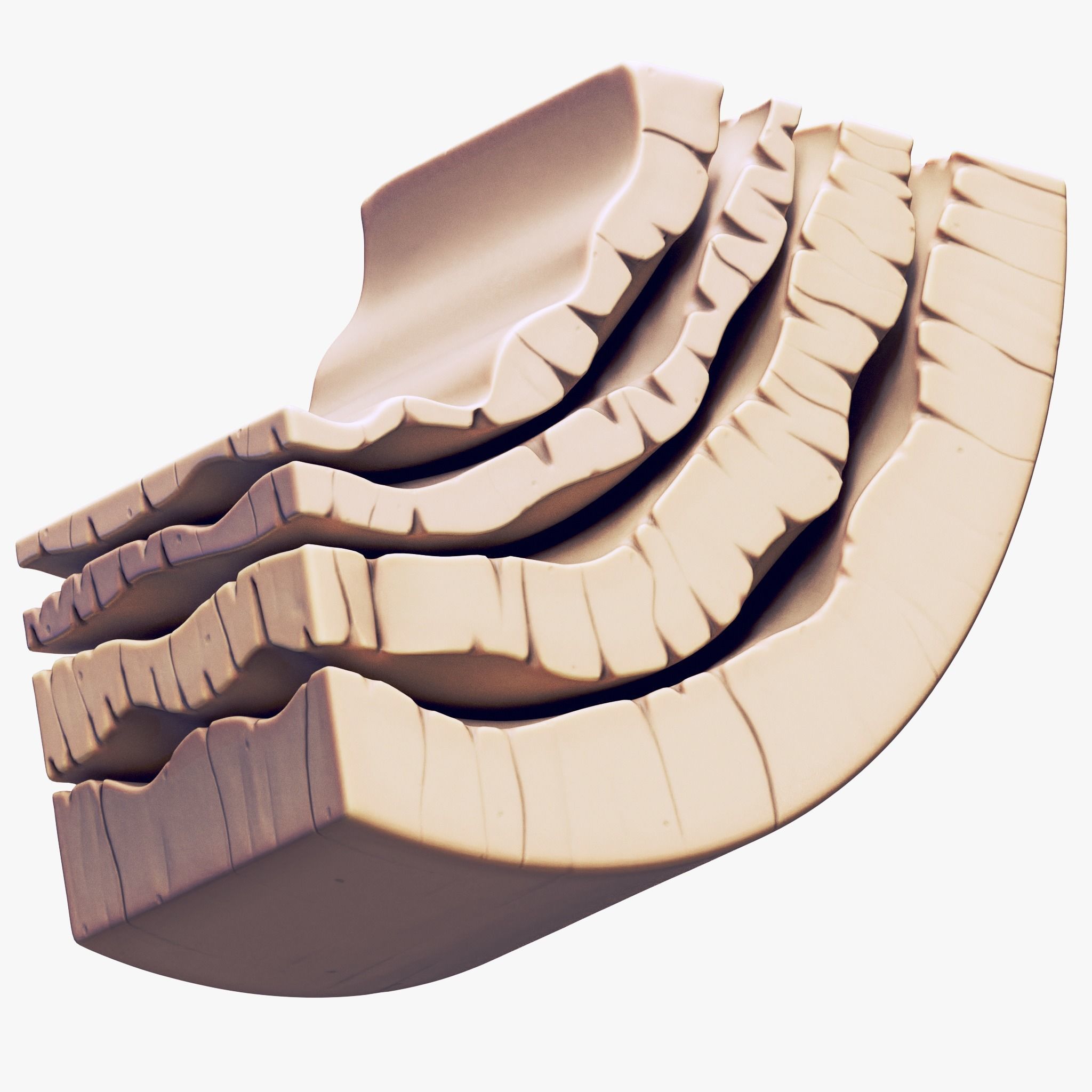 Osteocyte in compact bone Osteon 3D model_7