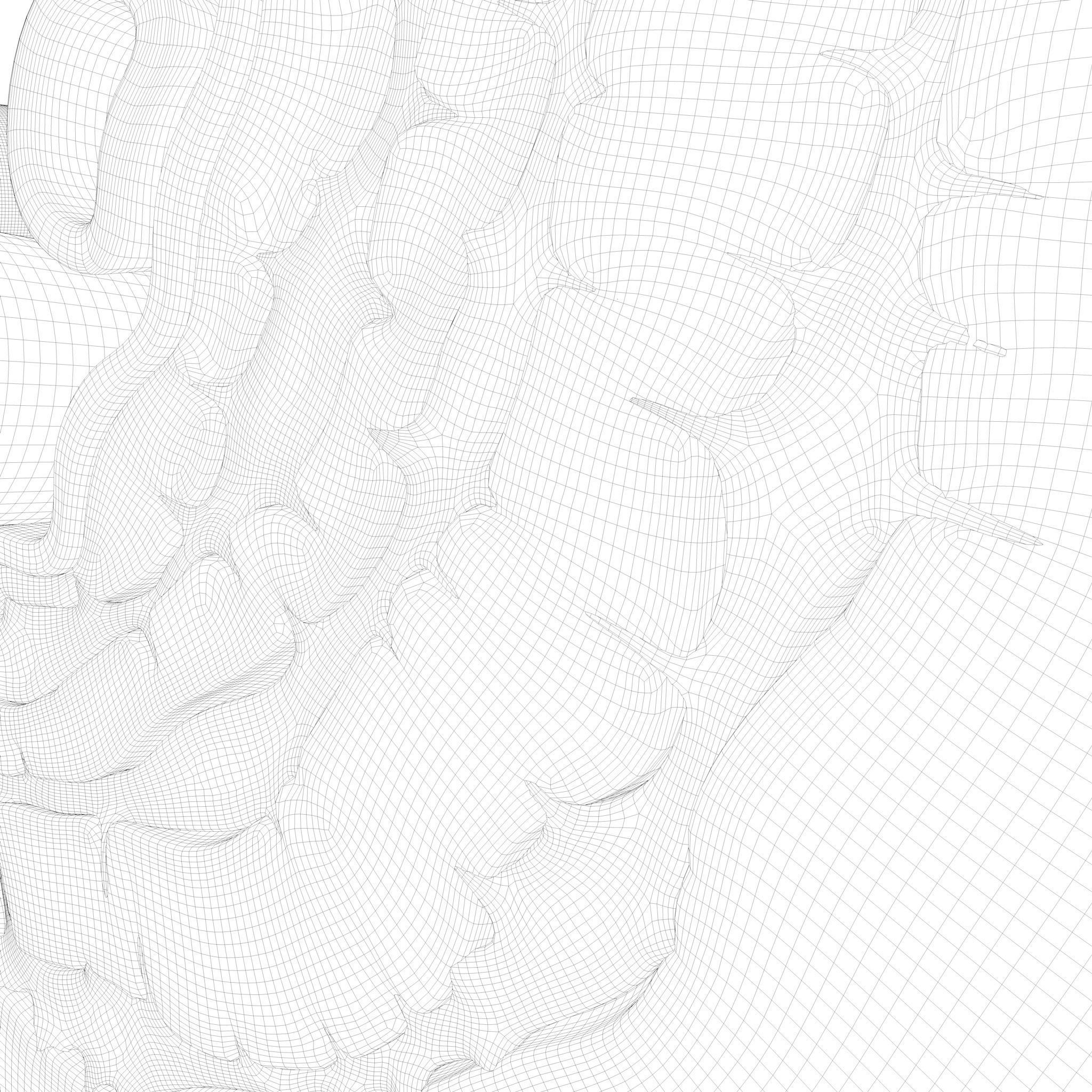 Osteocyte in compact bone Osteon 3D model_11