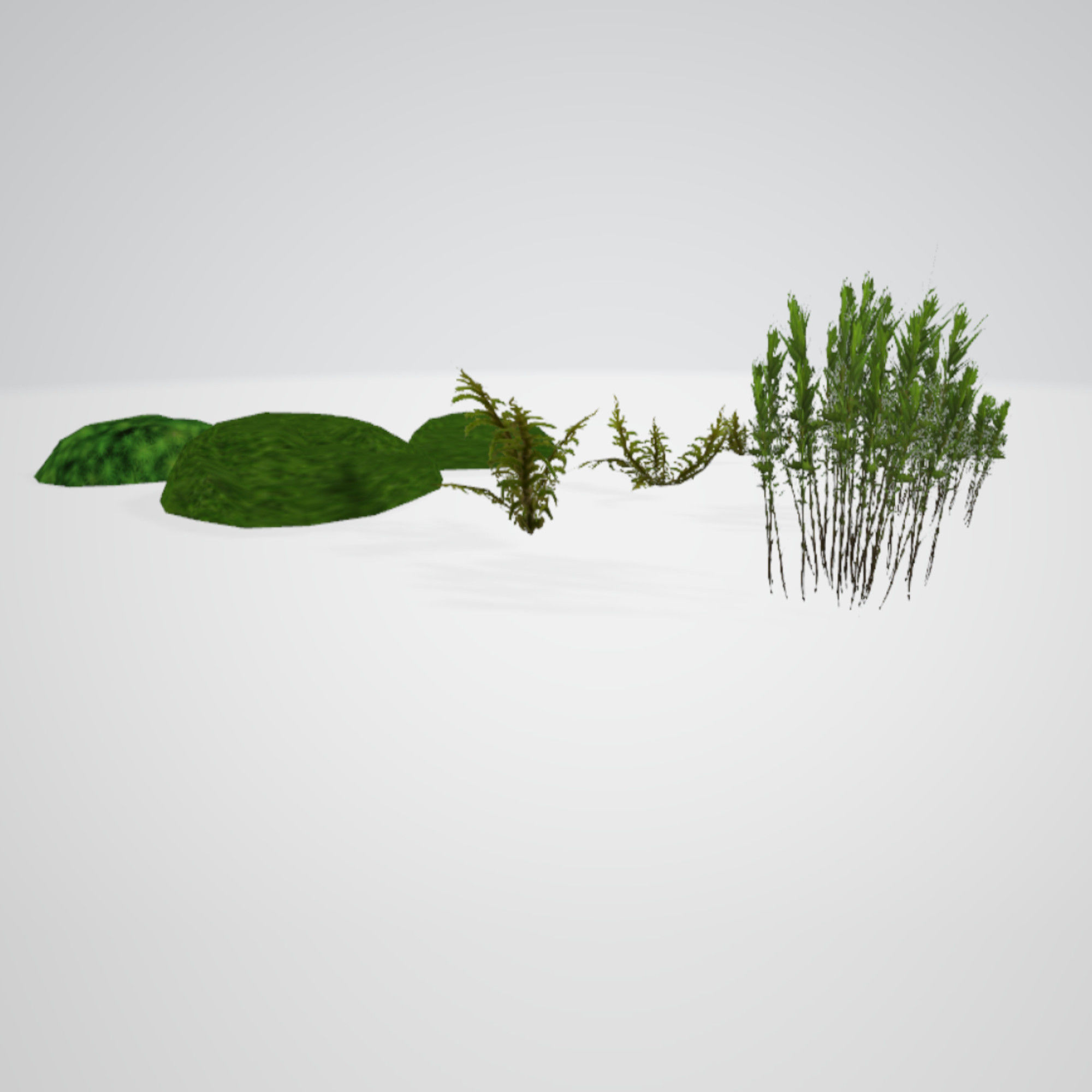 Moss Realistic Pack Low-poly 3D model_13