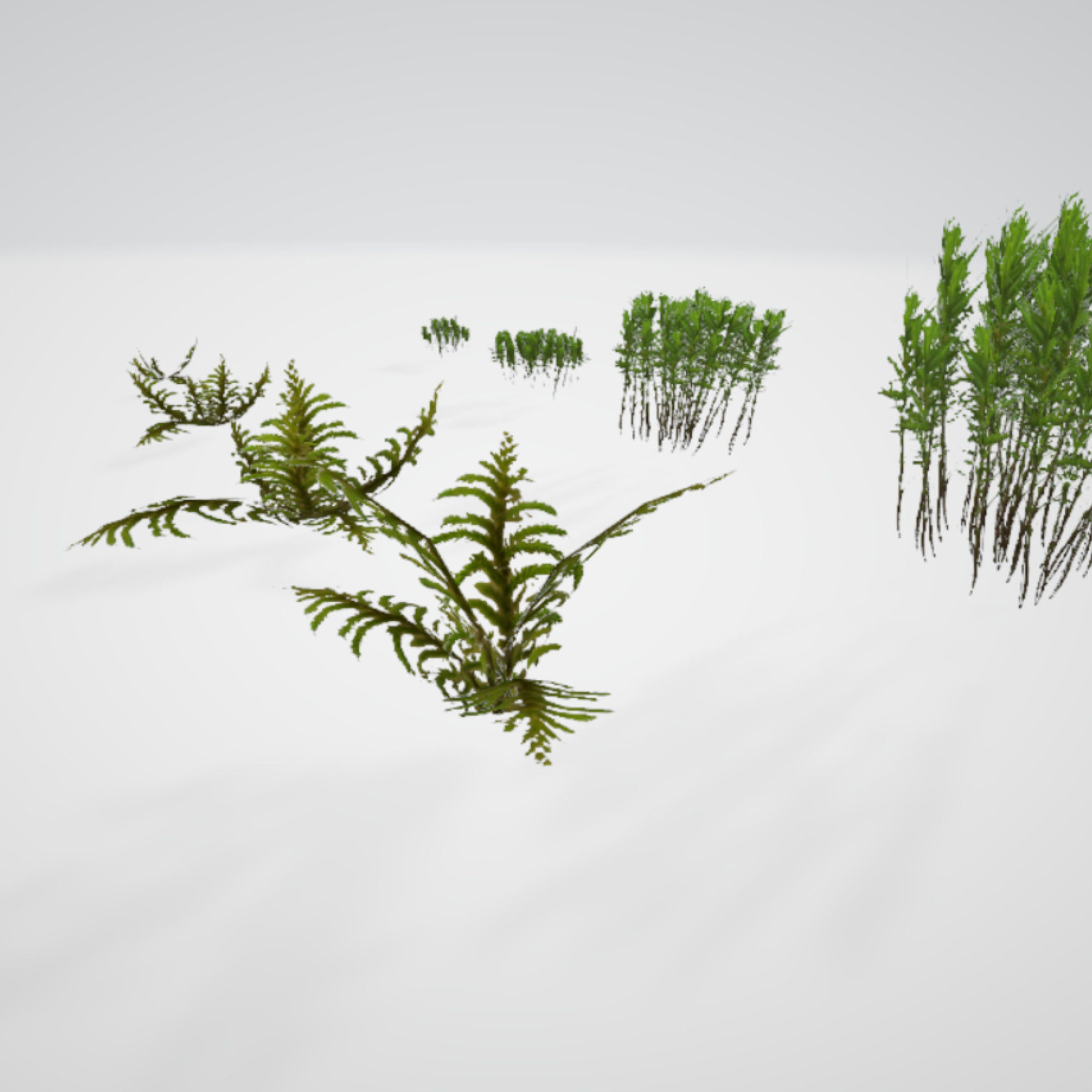 Moss Realistic Pack Low-poly 3D model_3