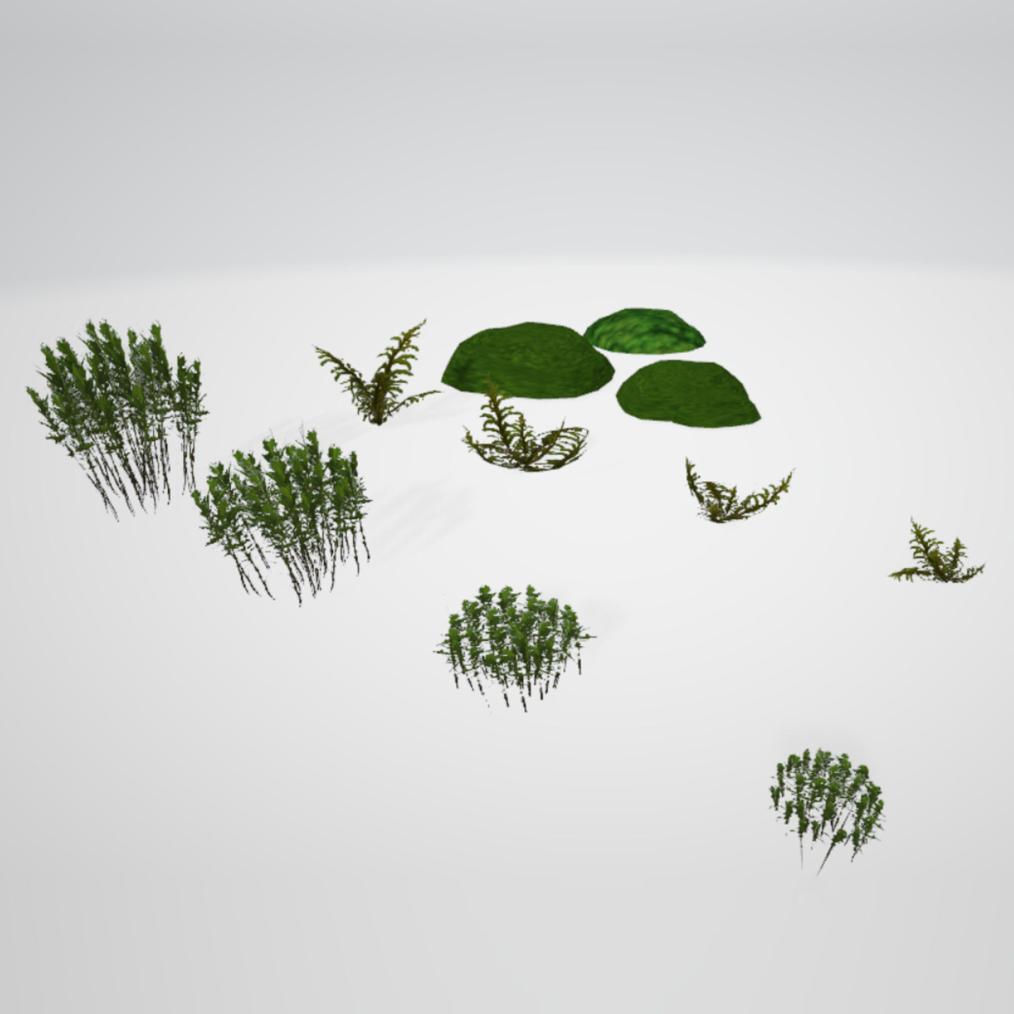 Moss Realistic Pack Low-poly 3D model_2